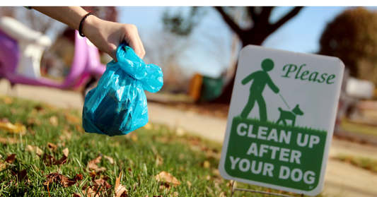 Ramassage des crottes de chien : ce que dit la loi en ville et à la campagne 🐾